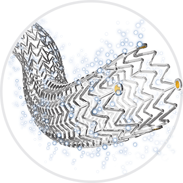 Zilver PTX Predictability Model