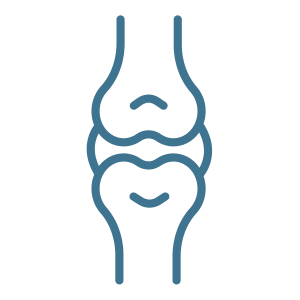 Icon of two bones connected by their joint.