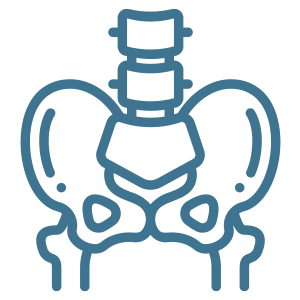 Icon of pelvic bones.