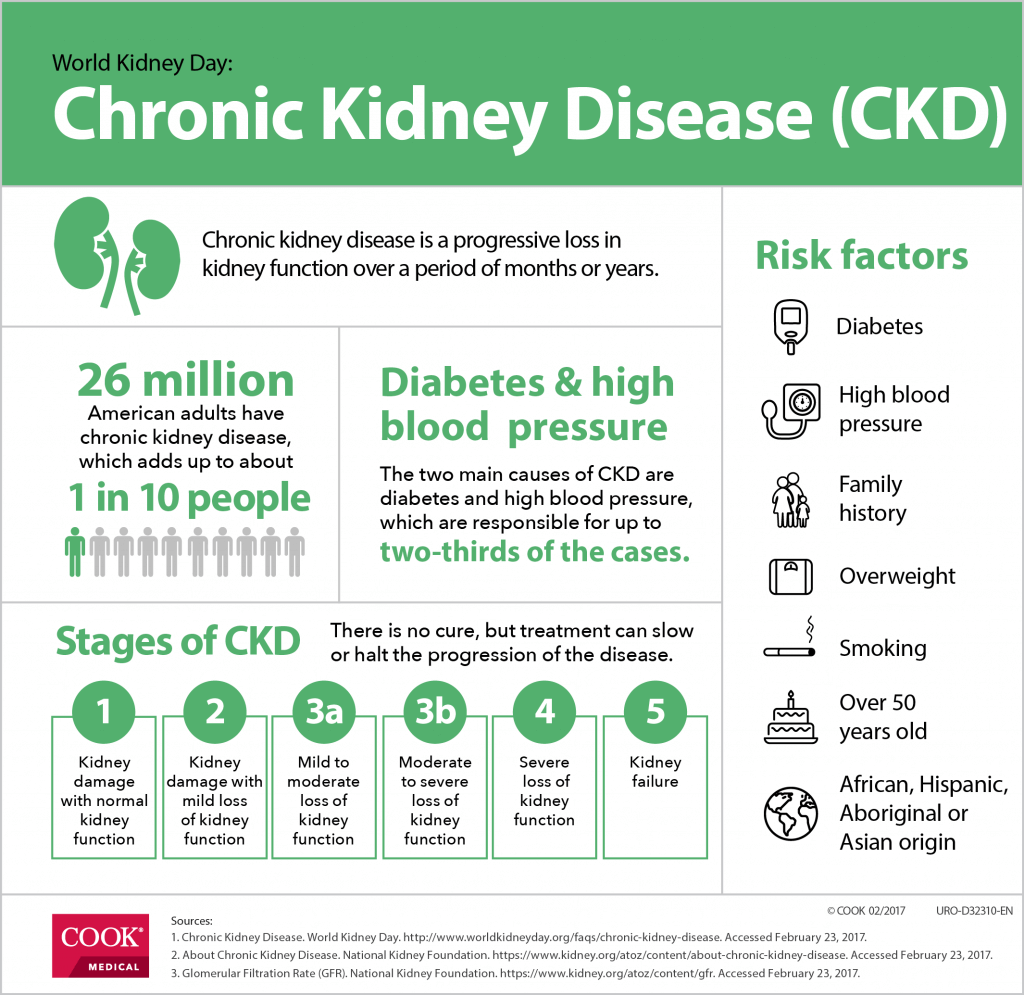 An infographic detailing chronic kidney disease (CKD) statistics for World Kidney Day.