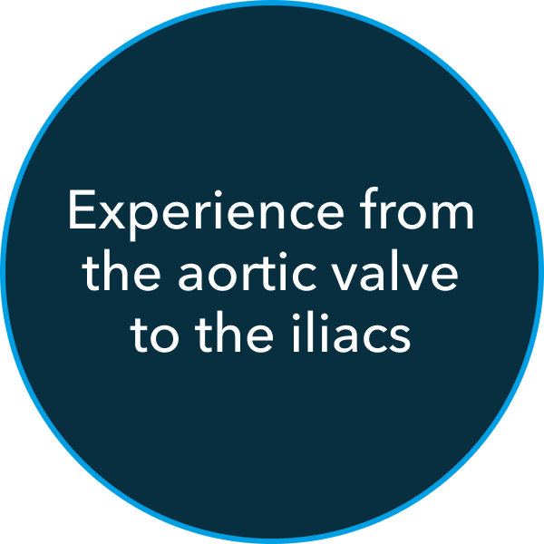 Experience from the aortic valves to the iliacs