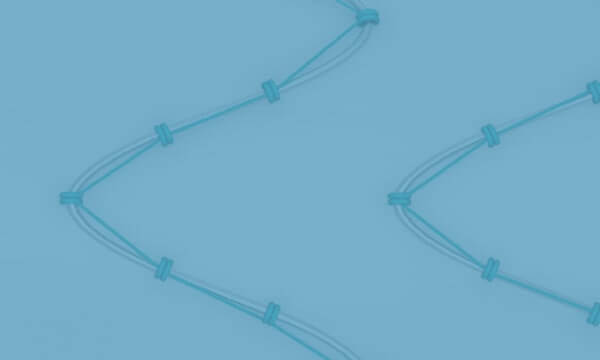 Two iliac branched stent grafts.